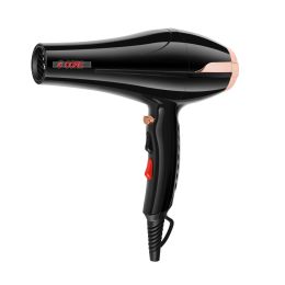 Hair Blow Dryer Lightweight Hair Dryer Ionic Men Women Blower 1875W Ceramic Quiet Styling Pik 5 Core HD BB
